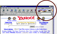 piggyshot.gif (8398 bytes)